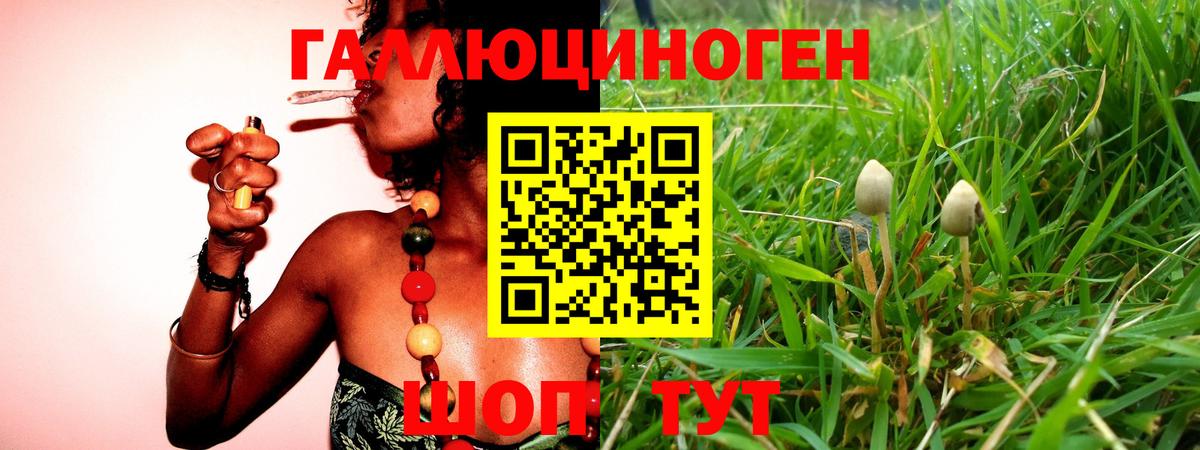 Галлюциногенные грибы Magic Shrooms Глазов