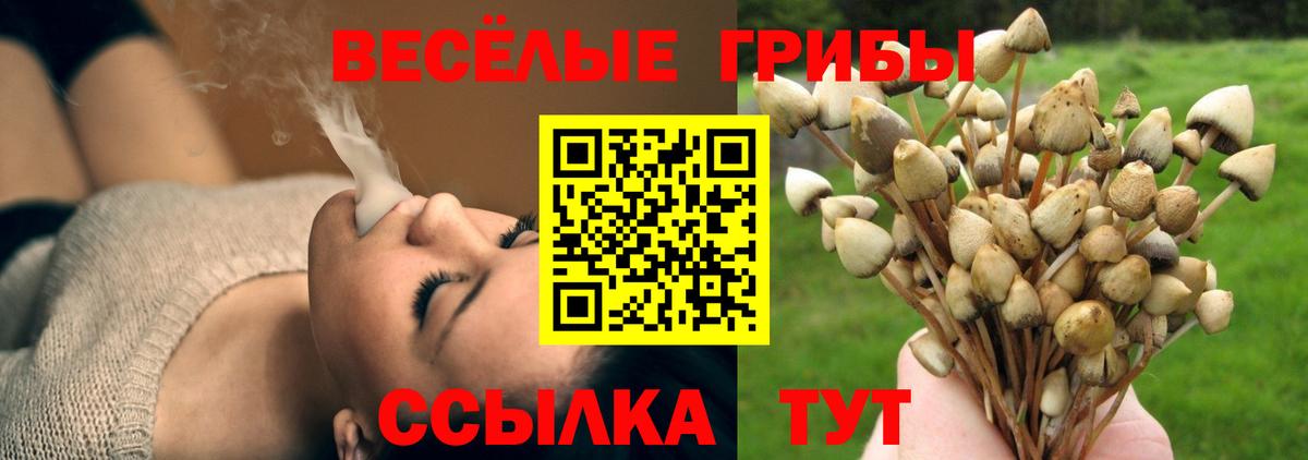 Глазов  Галлюциногенные грибы MAGIC MUSHROOMS  хочу   Галлюциногенные грибы Magic Shrooms  Вход с VPN 
